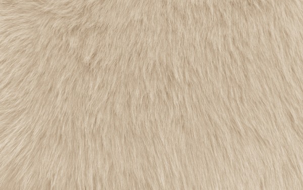 Zottelfell SUGAR Beige